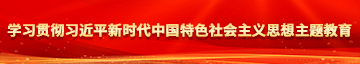 操逼干爽逼拉学习贯彻习近平新时代中国特色社会主义思想主题教育